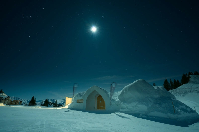 Igloo surrounded by snow